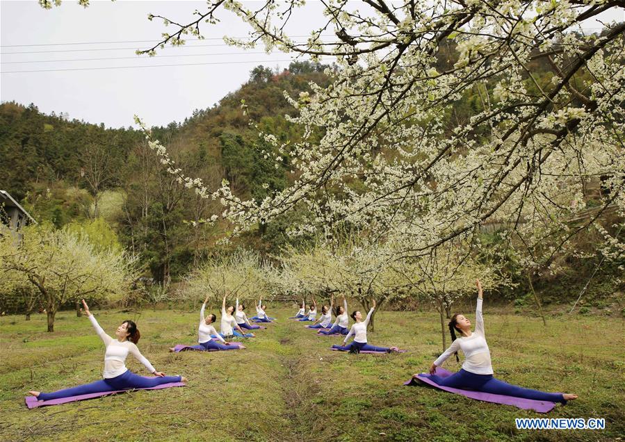 Chine : pratique collective du yoga au milieu de champs de fleurs