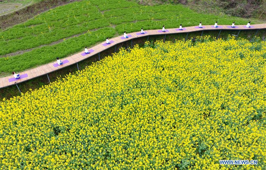 Chine : pratique collective du yoga au milieu de champs de fleurs