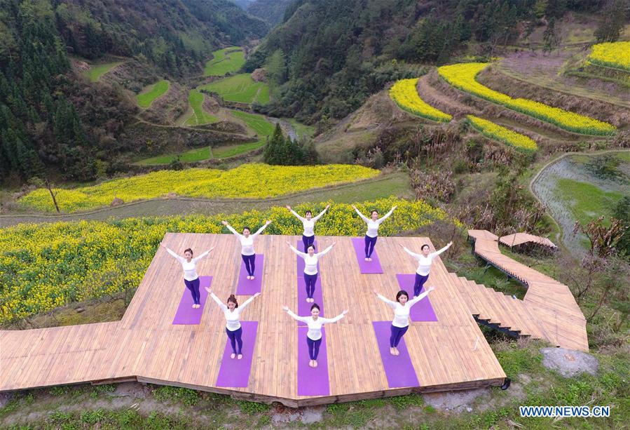Chine : pratique collective du yoga au milieu de champs de fleurs