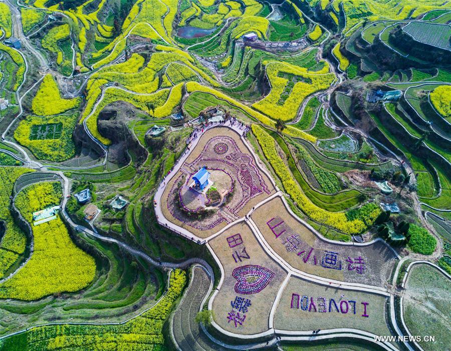 Champs de colza dans la province du Zhejiang
