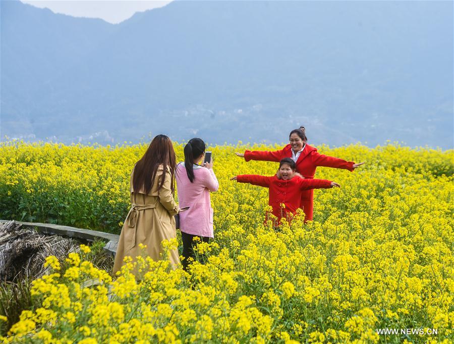 Champs de colza dans la province du Zhejiang