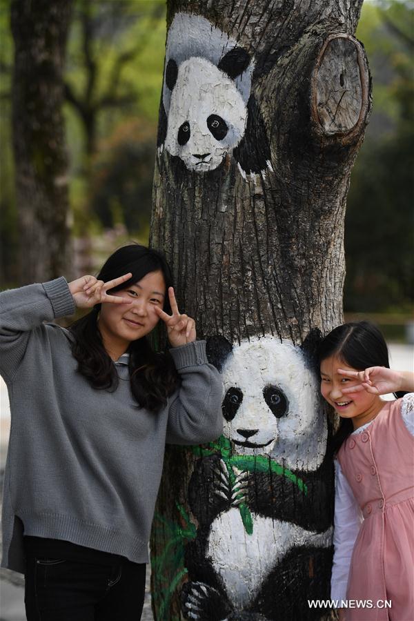 Chine : arbres peints dans la province de l'Anhui