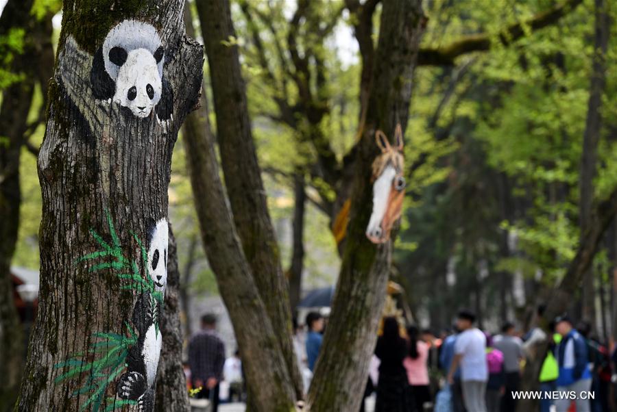 Chine : arbres peints dans la province de l'Anhui