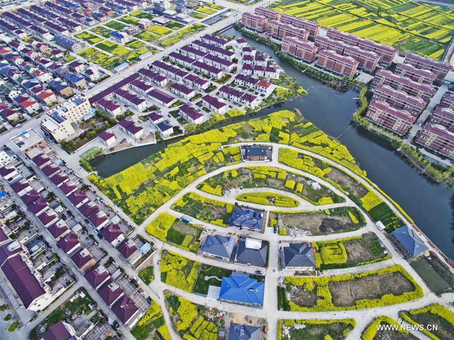 Chine : paysage printanier d'un bourg au Jiangsu