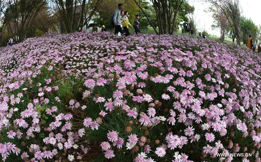 Vacances de Qingming au Yunnan