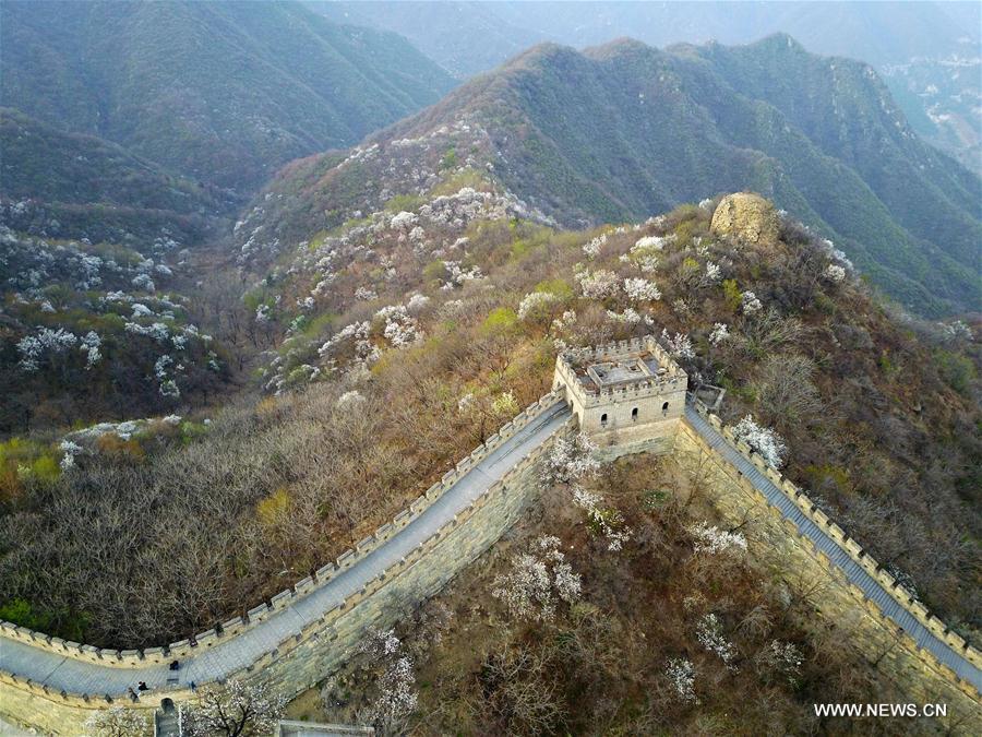 Photo aérienne de la section de Mutianyu de la Grande Muraille à Beijing 