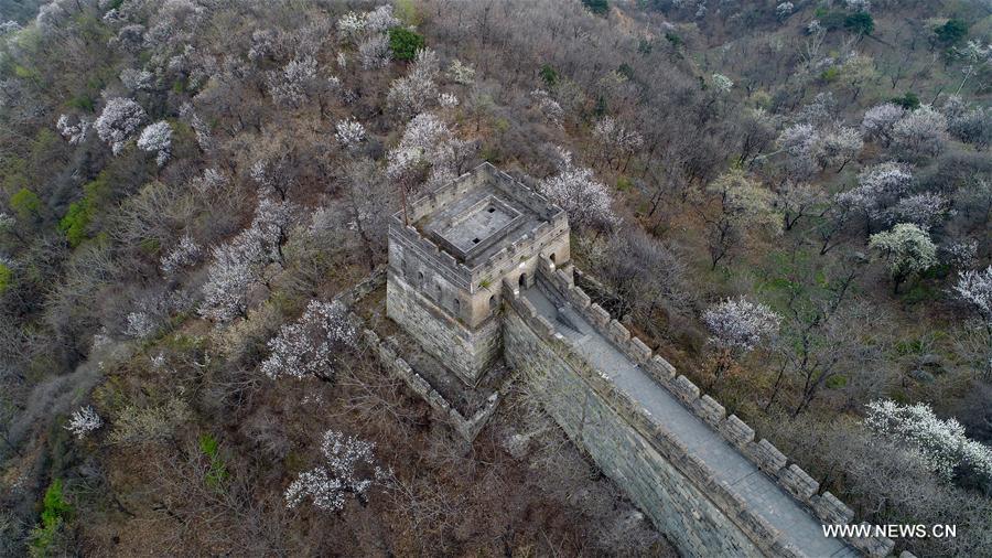 Photo aérienne de la section de Mutianyu de la Grande Muraille à Beijing