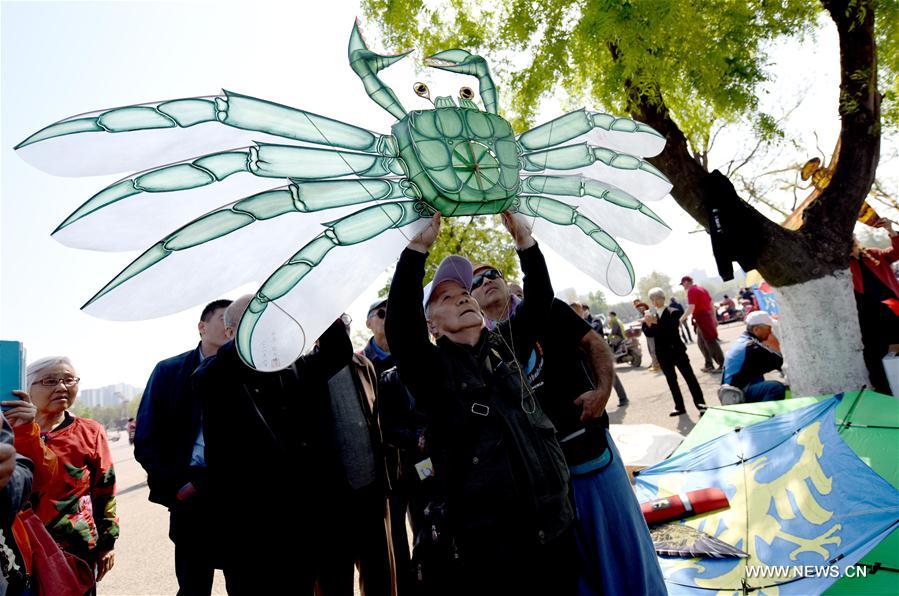 CHINA-SHAANXI-XI'AN-KITE SHOW (CN)