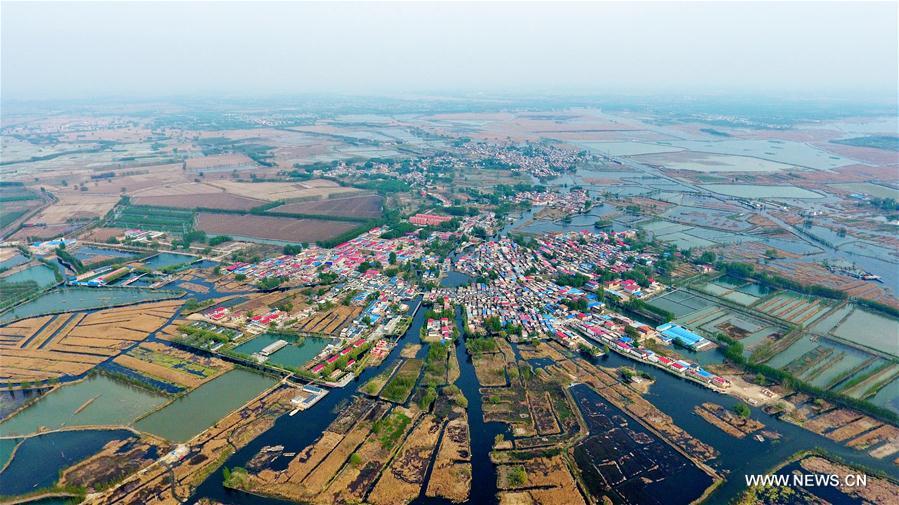 Chine : paysage de Baiyangdian dans la Nouvelle Zone de Xiongan