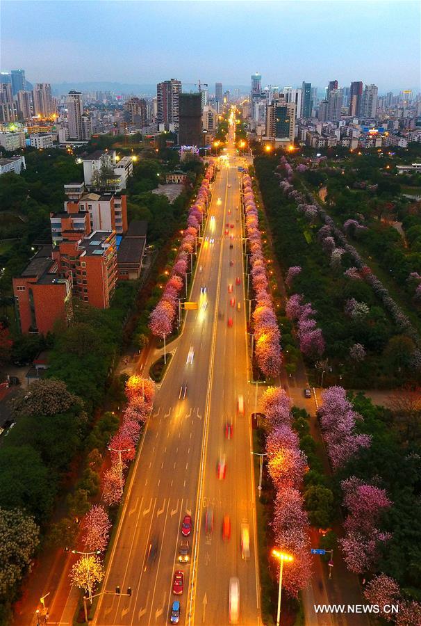 Paysage dans la ville de Liuzhou du Guangxi 