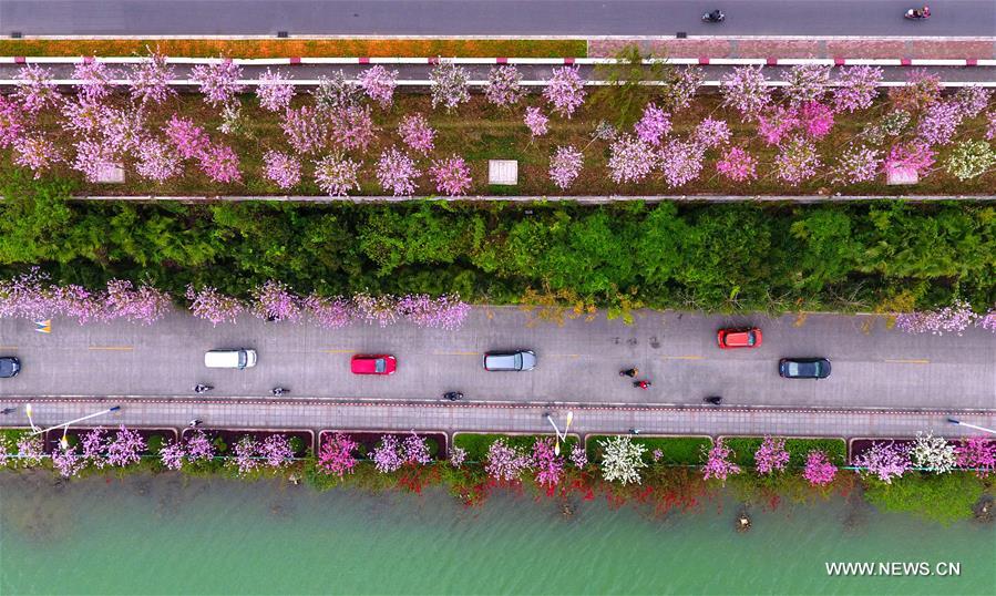 Paysage dans la ville de Liuzhou du Guangxi 