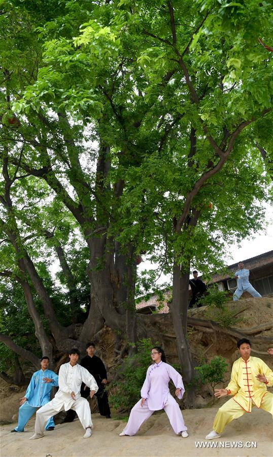 Chine : pratique du taïchi dans un village du Henan