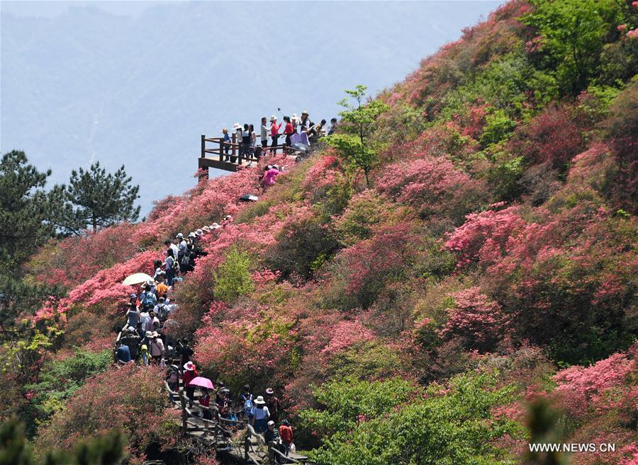 Afflux de touristes à Macheng, dans le centre de la Chine