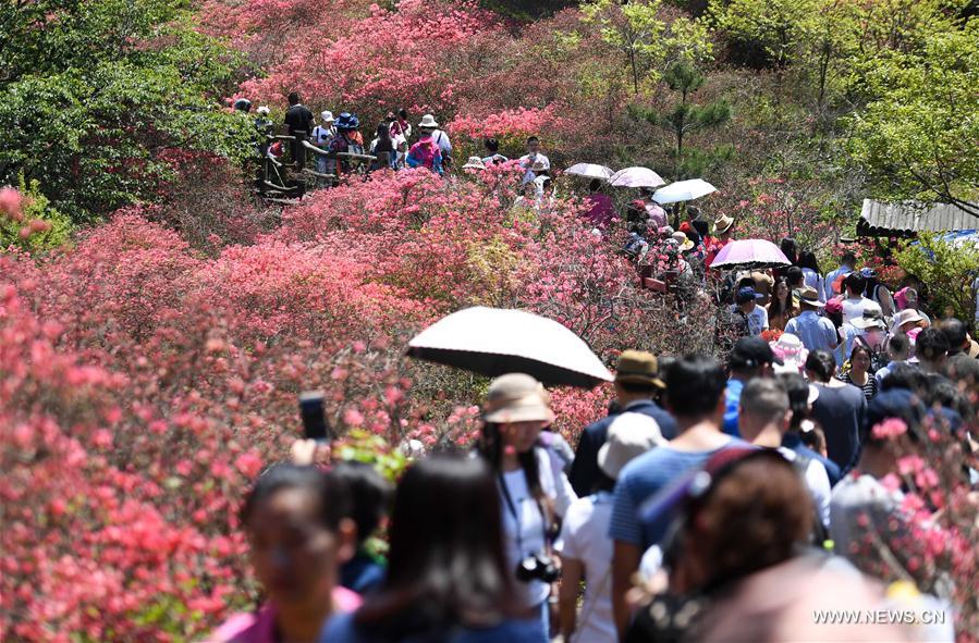 Afflux de touristes à Macheng, dans le centre de la Chine