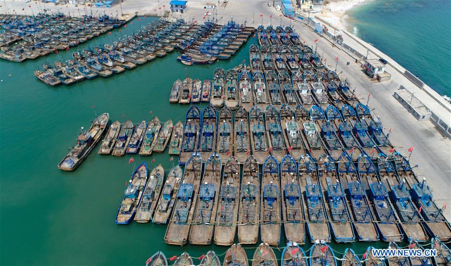 Interdiction estivale de pêche dans la province du Shandong