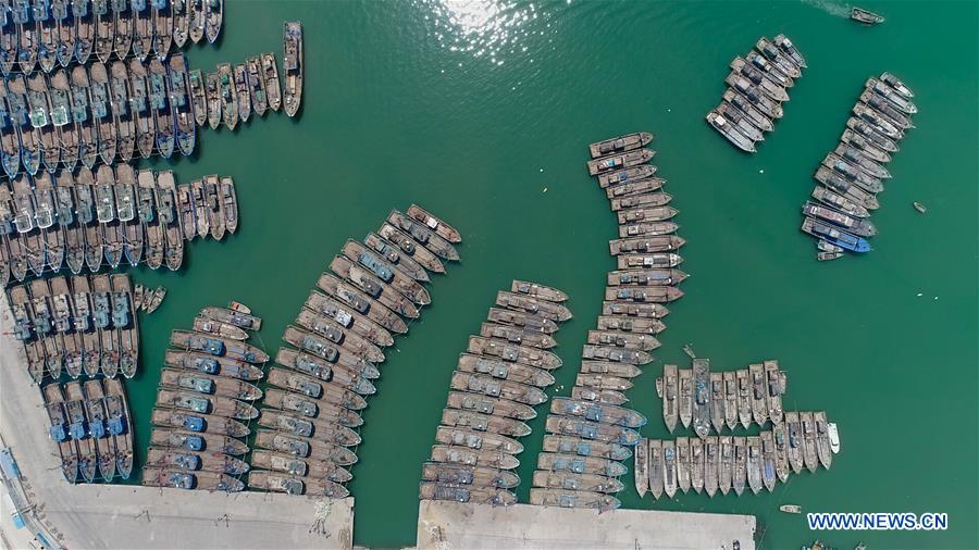 Interdiction estivale de pêche dans la province du Shandong