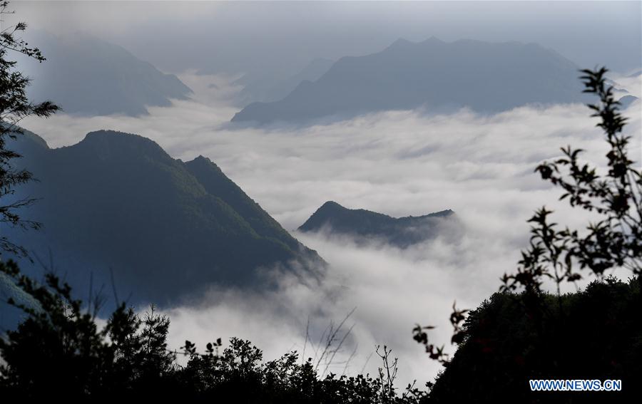 Chine : mer de nuages au Shaanxi
