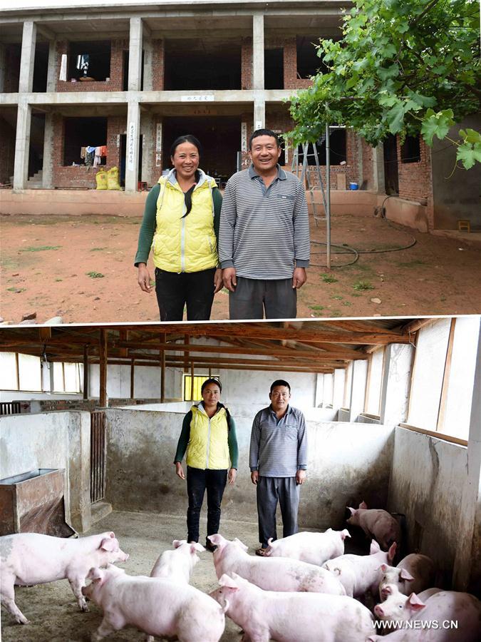 Chine : aide à l'élevage de cochons pour lutter contre la pauvreté au Yunnan