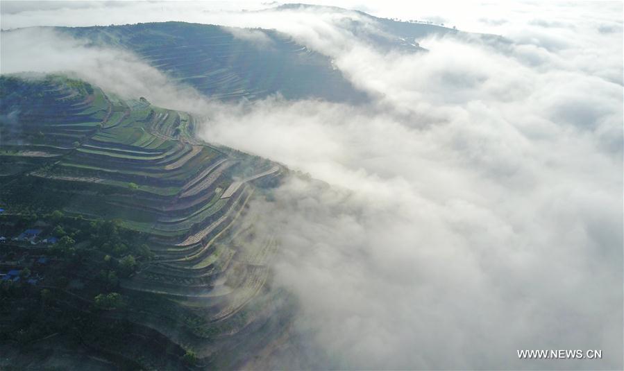 Chine : des champs en terrasses dans les nuages au Gansu