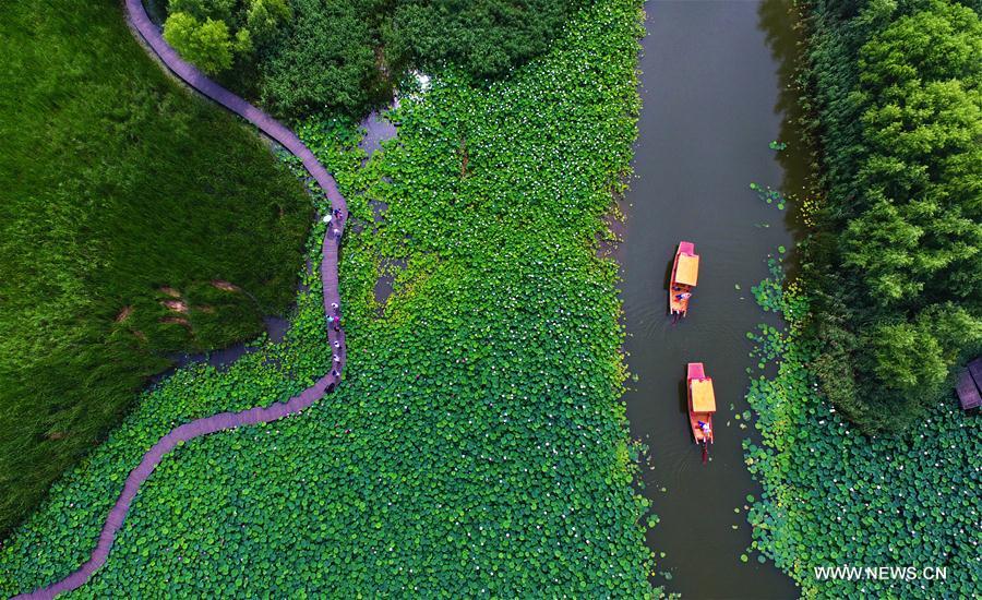 Paysages dans un parc de zones humides au Shandong