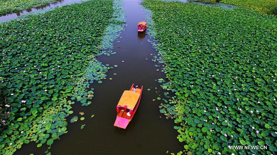 Paysages dans un parc de zones humides au Shandong