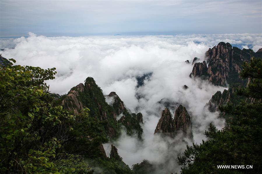 Paysage du mont Huangshan dans l'Anhui 