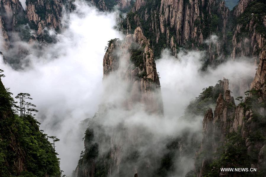 Paysage du mont Huangshan dans l'Anhui 