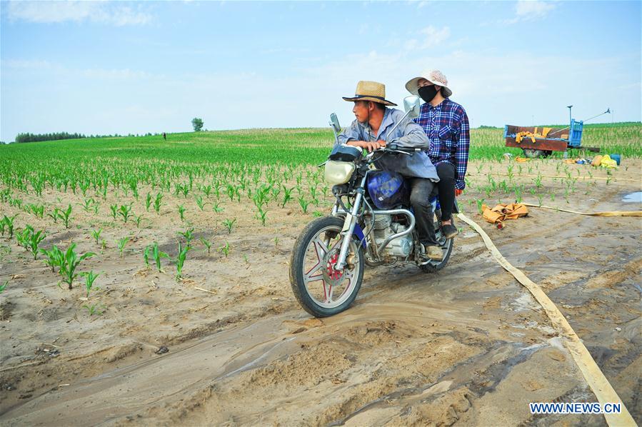 Chine : sécheresse dans la région autonome de Mongolie intérieure