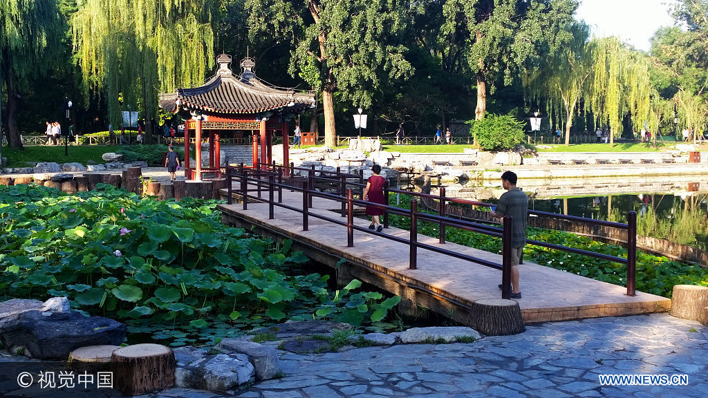 ***_***2017年7月7日，北京，雨歇天晴，陶然亭公园里晨练的人们享受着醉美的晨光。