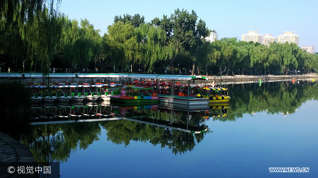 ***_***2017年7月7日，北京，雨歇天晴，陶然亭公园里晨练的人们享受着醉美的晨光。