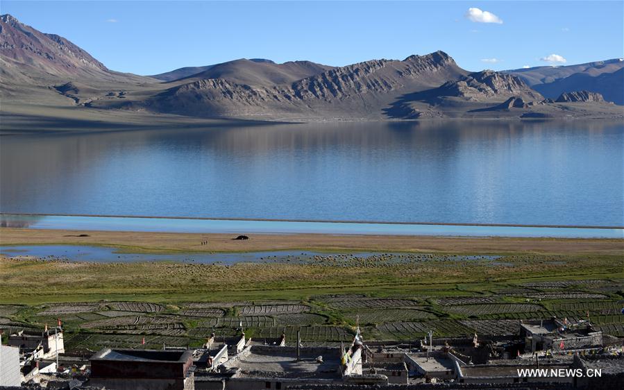 Chine : un village au Tibet