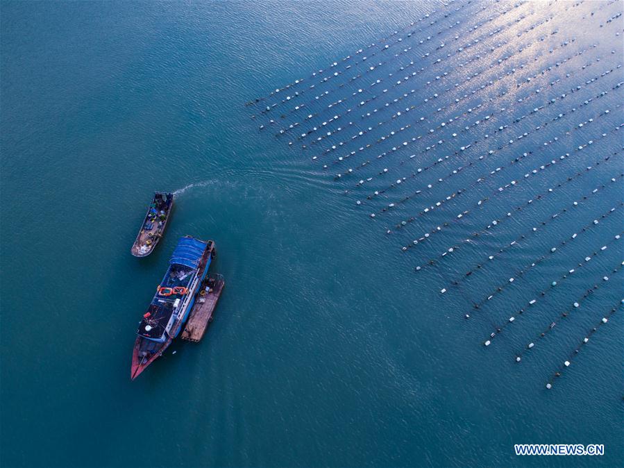 Paysages d'une réserve naturelle maritime au Zhejiang