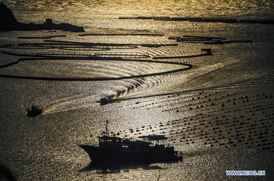 Paysages d'une réserve naturelle maritime au Zhejiang