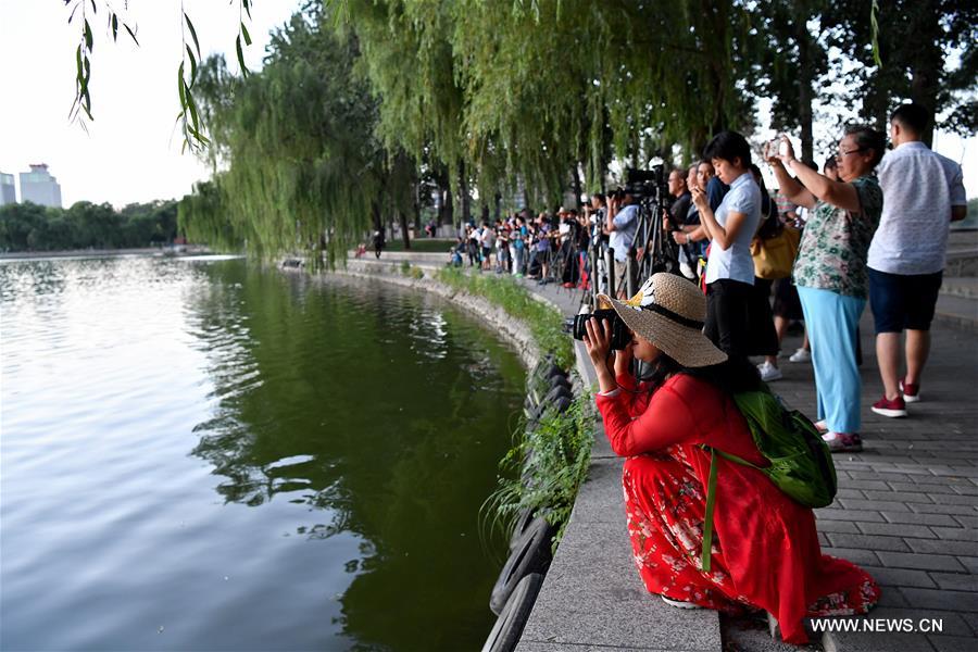 Chine : vue de Beijing après le Liqiu, qui marque le début de l'automne