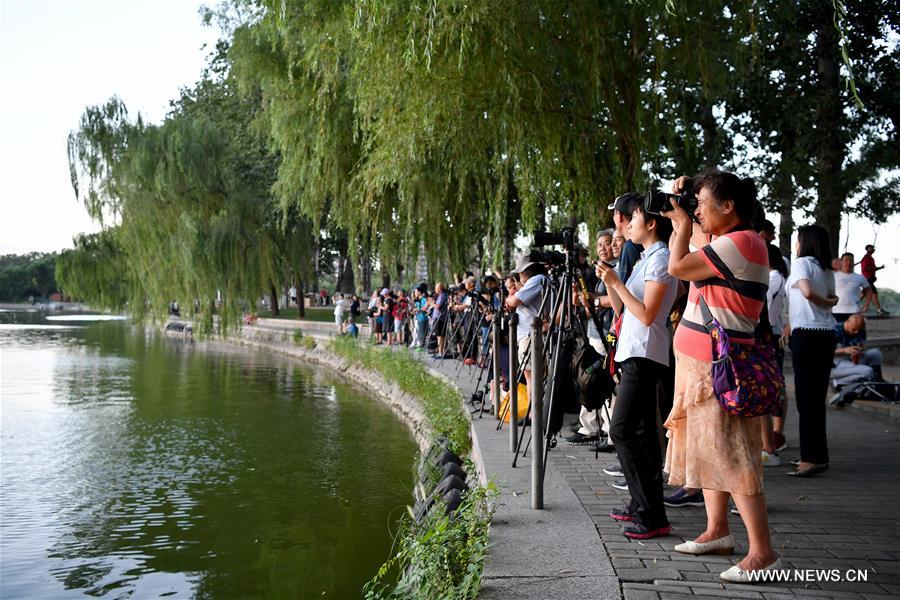Chine : vue de Beijing après le Liqiu, qui marque le début de l'automne