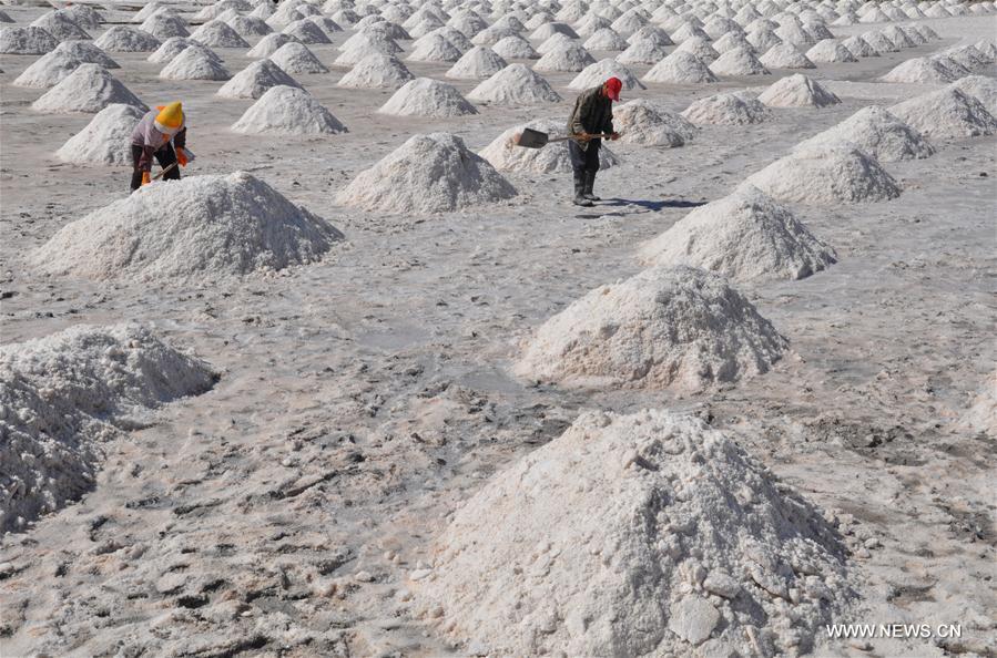 Chine : récolte de sel brut à Zhangye