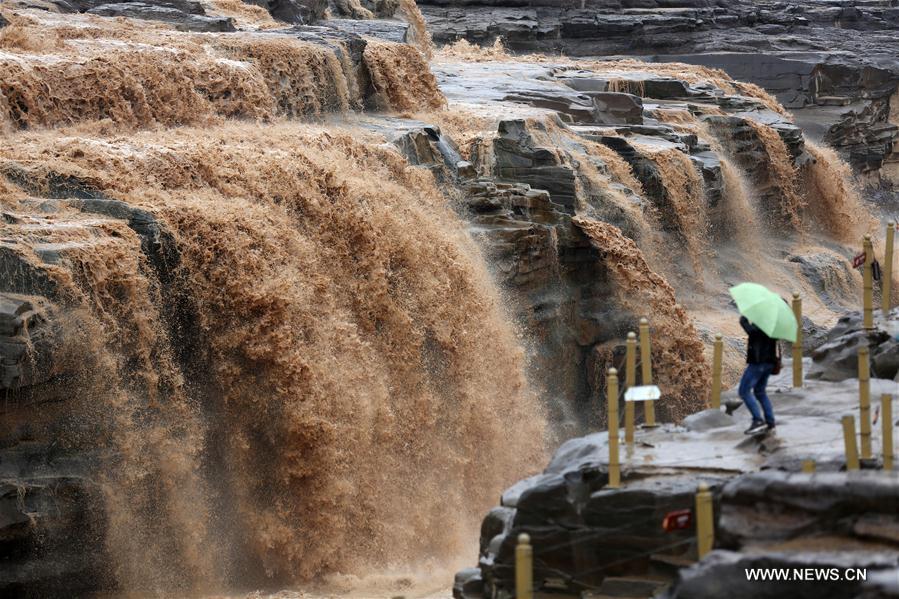 La cascade de Hukou sur le fleuve Jaune 