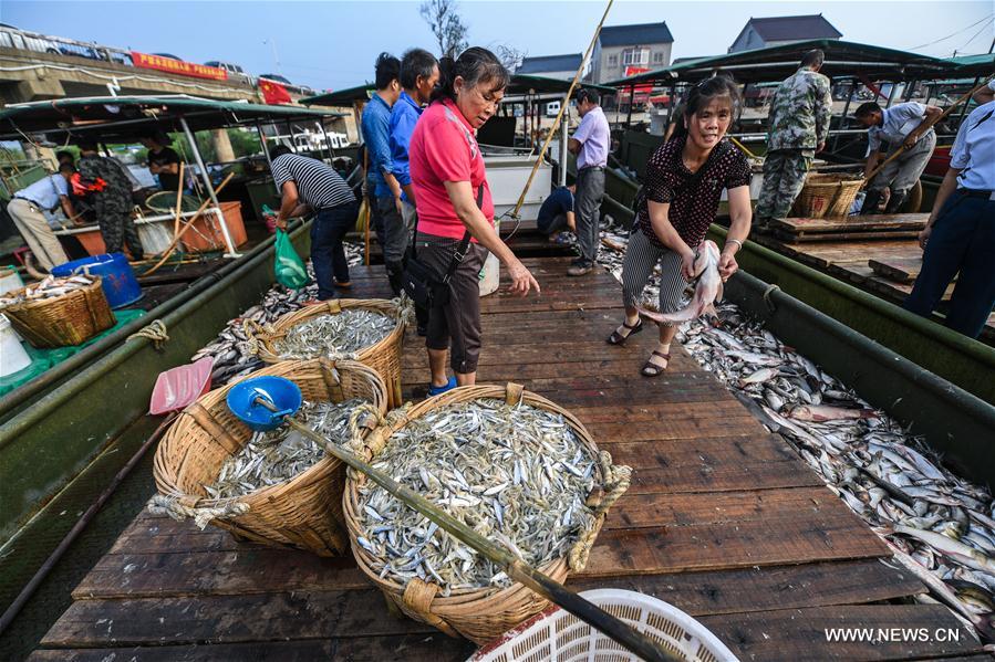 Chine : saison de pêche dans la province du Zhejiang