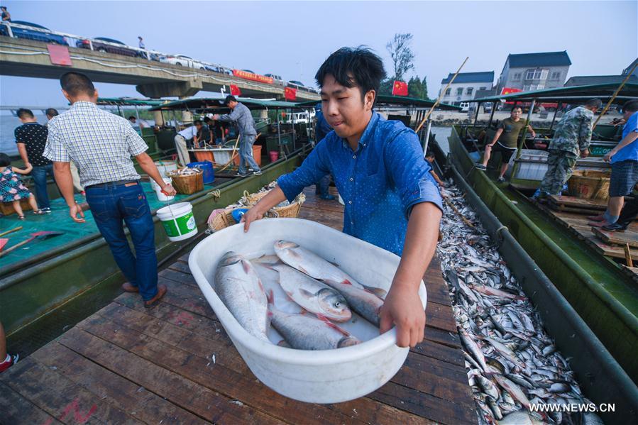 Chine : saison de pêche dans la province du Zhejiang