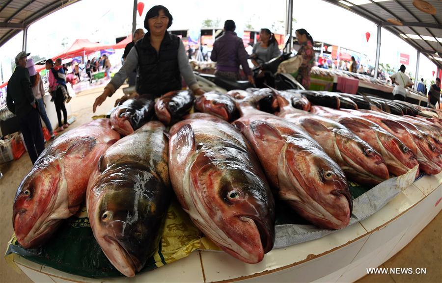 Chine : fin du moratoire sur la pêche au lac Dianchi 