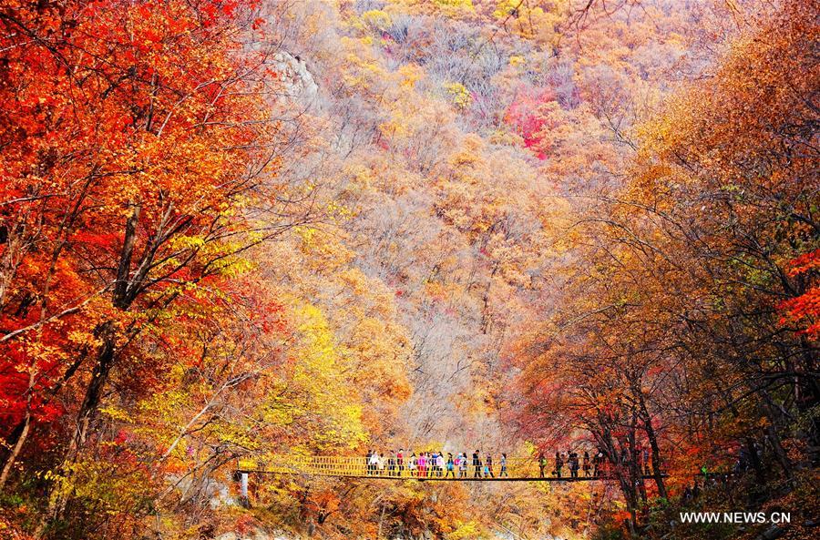 Chine : paysages d'automne