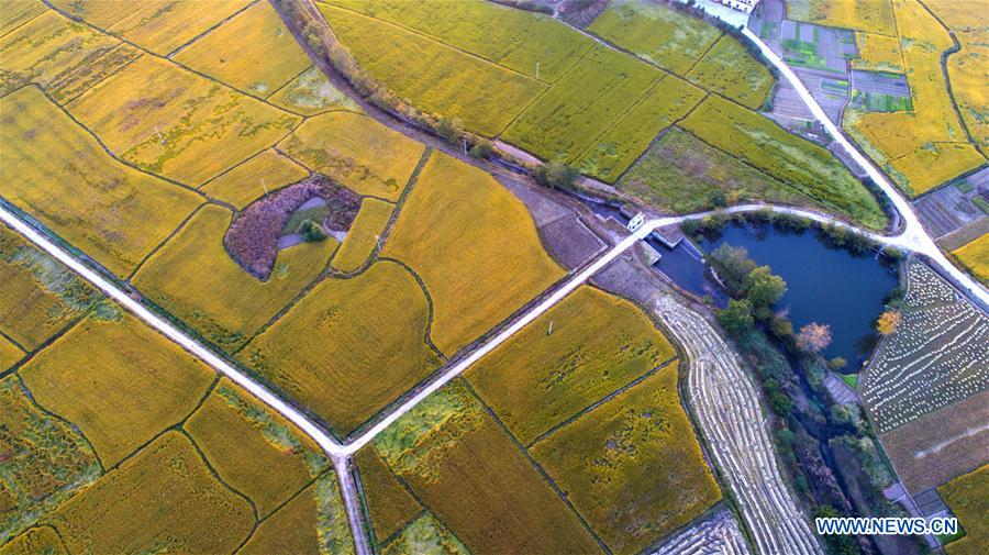 Chine : paysage de l'Anhui vu du ciel
