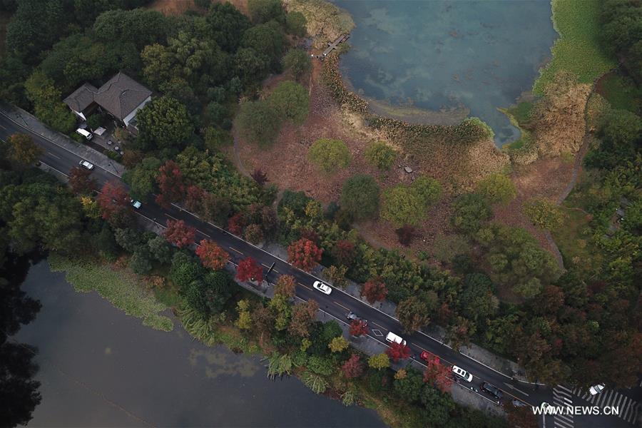 Paysage automnal du lac de l'Ouest à Hangzhou