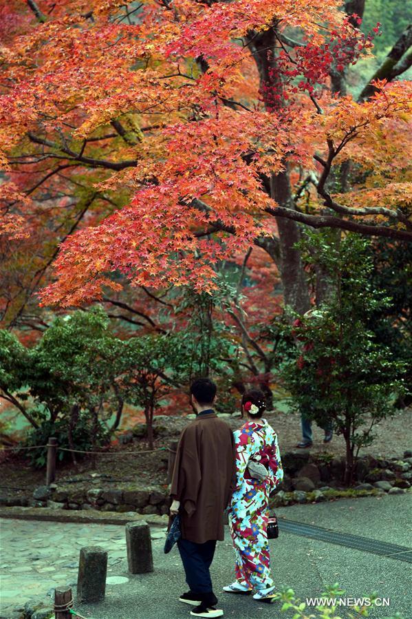 Japon : paysage d'automne à Kyoto