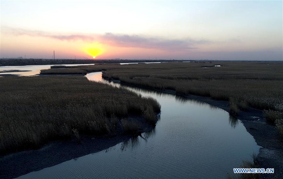 Paysage d'une zone humide dans le nord de la Chine