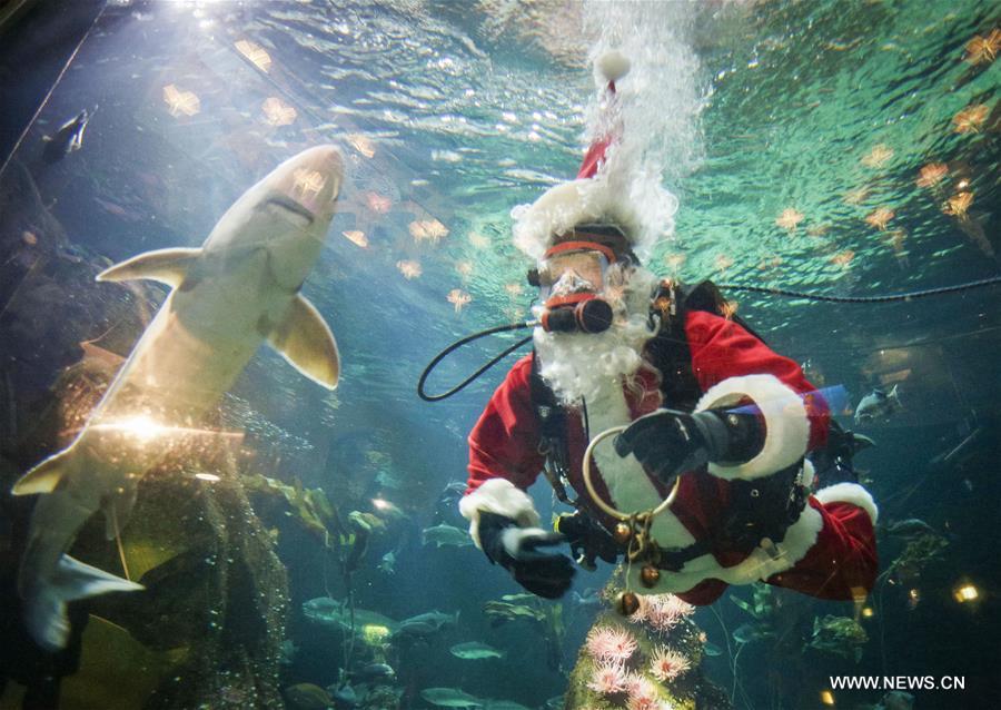 Canada : un Père Noël sous-marin à Vancouver