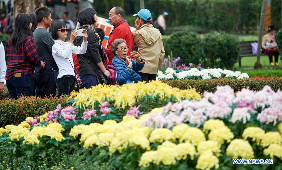 Salon du chrysanthème à Taipei 