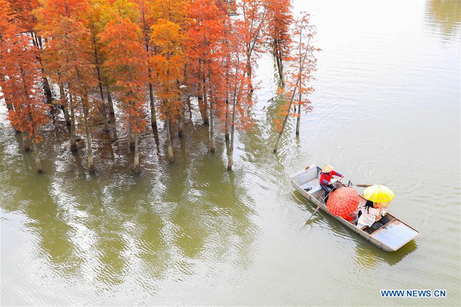 Paysage d'un lac dans l'est de la Chine