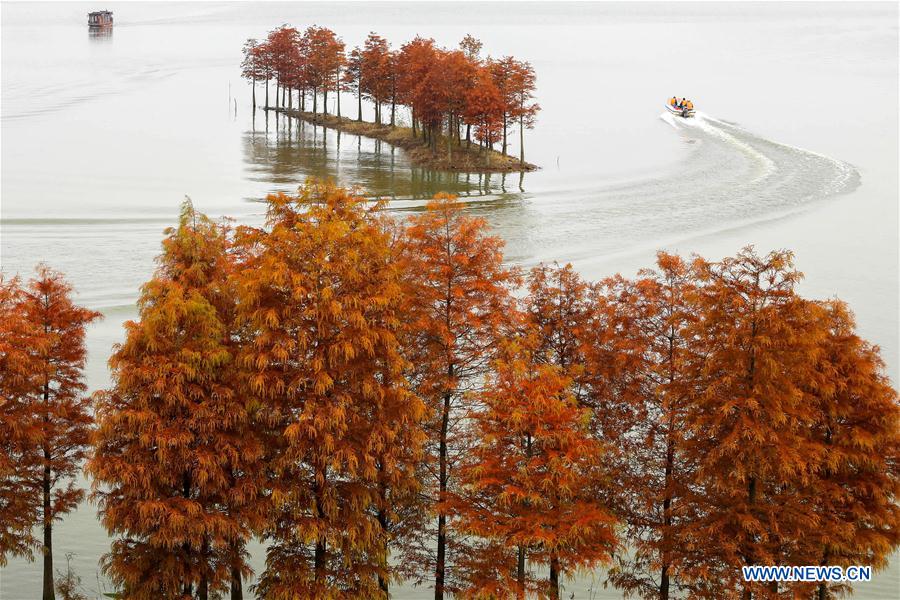 Paysage d'un lac dans l'est de la Chine