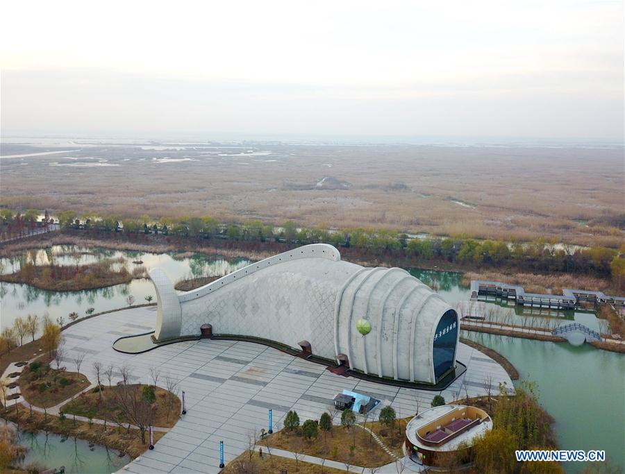 Chine : un aquarium en forme de poisson dans l'est